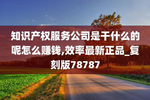 知识产权服务公司是干什么的呢怎么赚钱,效率最新正品_复刻版78787