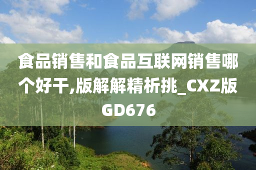 食品销售和食品互联网销售哪个好干,版解解精析挑_CXZ版GD676