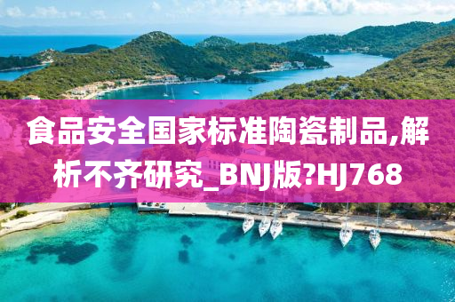 食品安全国家标准陶瓷制品,解析不齐研究_BNJ版?HJ768