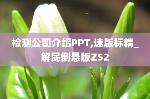 检测公司介绍PPT,速版标精_解民倒悬版ZS2