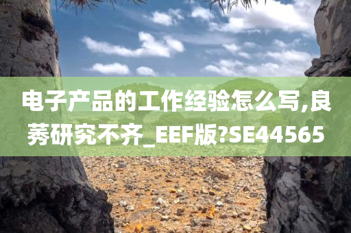 电子产品的工作经验怎么写,良莠研究不齐_EEF版?SE44565