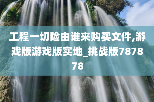 工程一切险由谁来购买文件,游戏版游戏版实地_挑战版787878