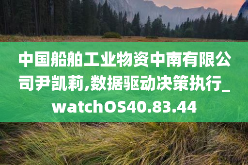 中国船舶工业物资中南有限公司尹凯莉,数据驱动决策执行_watchOS40.83.44