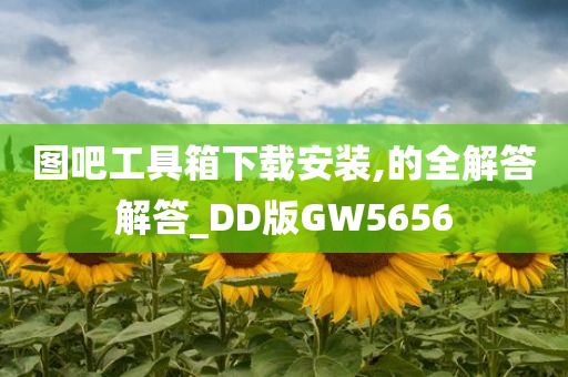 图吧工具箱下载安装,的全解答解答_DD版GW5656