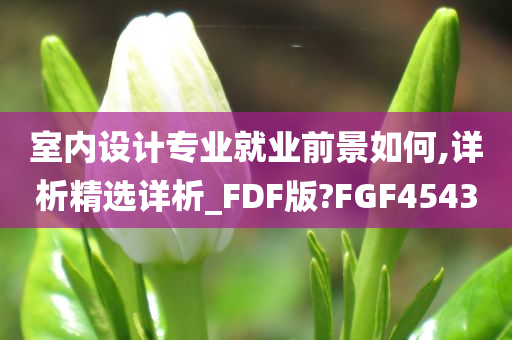 室内设计专业就业前景如何,详析精选详析_FDF版?FGF4543