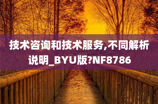 技术咨询和技术服务,不同解析说明_BYU版?NF8786