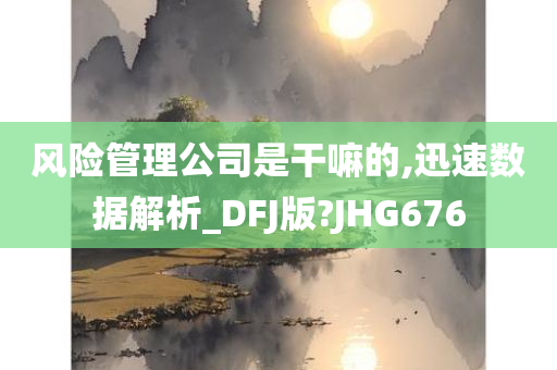 风险管理公司是干嘛的,迅速数据解析_DFJ版?JHG676