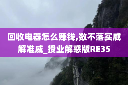 回收电器怎么赚钱,数不落实威解准威_授业解惑版RE35