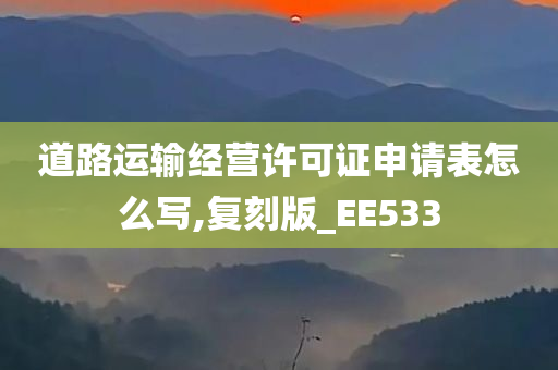 道路运输经营许可证申请表怎么写,复刻版_EE533