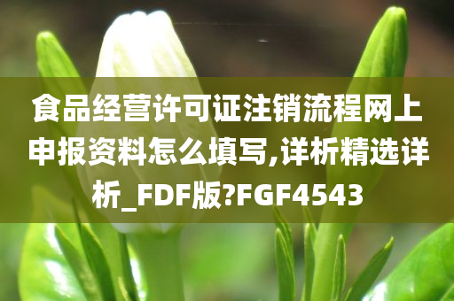 食品经营许可证注销流程网上申报资料怎么填写,详析精选详析_FDF版?FGF4543