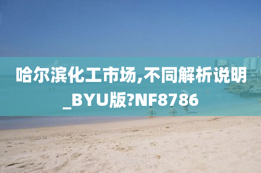 哈尔滨化工市场,不同解析说明_BYU版?NF8786