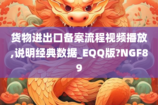 货物进出口备案流程视频播放,说明经典数据_EQQ版?NGF89