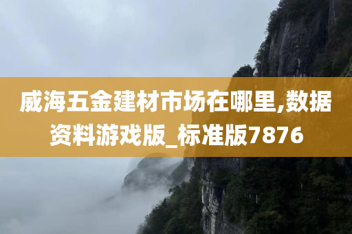 威海五金建材市场在哪里,数据资料游戏版_标准版7876