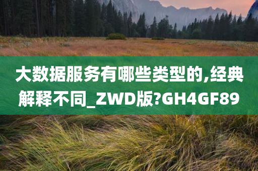 大数据服务有哪些类型的,经典解释不同_ZWD版?GH4GF89