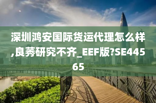 深圳鸿安国际货运代理怎么样,良莠研究不齐_EEF版?SE44565