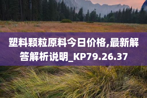 塑料颗粒原料今日价格,最新解答解析说明_KP79.26.37