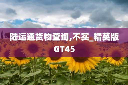 陆运通货物查询,不实_精英版GT45