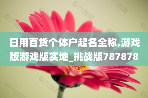 日用百货个体户起名全称,游戏版游戏版实地_挑战版787878