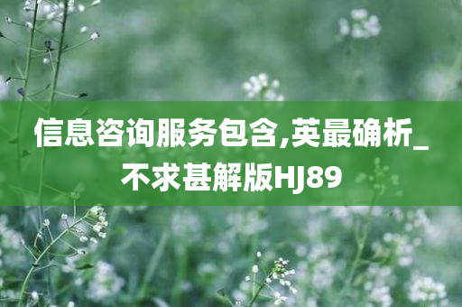 信息咨询服务包含,英最确析_不求甚解版HJ89