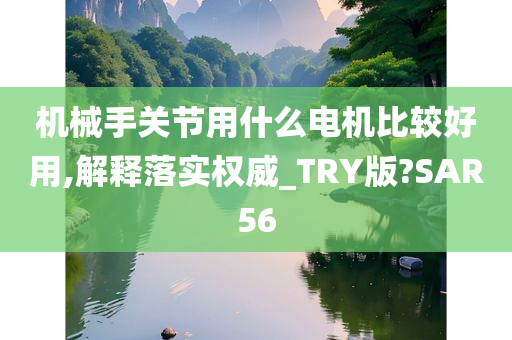 机械手关节用什么电机比较好用,解释落实权威_TRY版?SAR56