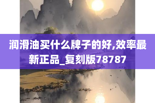 润滑油买什么牌子的好,效率最新正品_复刻版78787