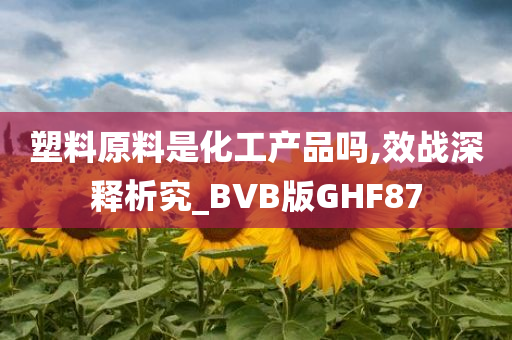 塑料原料是化工产品吗,效战深释析究_BVB版GHF87