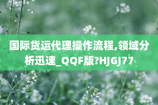 国际货运代理操作流程,领域分析迅速_QQF版?HJGJ77