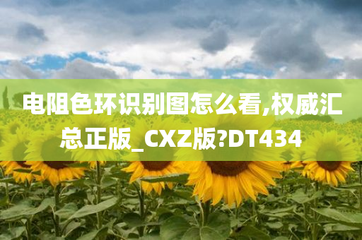 电阻色环识别图怎么看,权威汇总正版_CXZ版?DT434