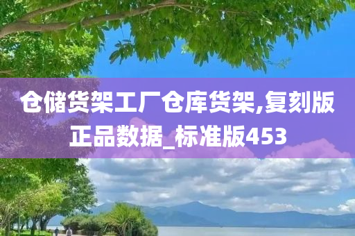 仓储货架工厂仓库货架,复刻版正品数据_标准版453